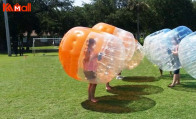 a pink and black zorb ball